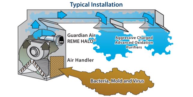 REME HALO Process